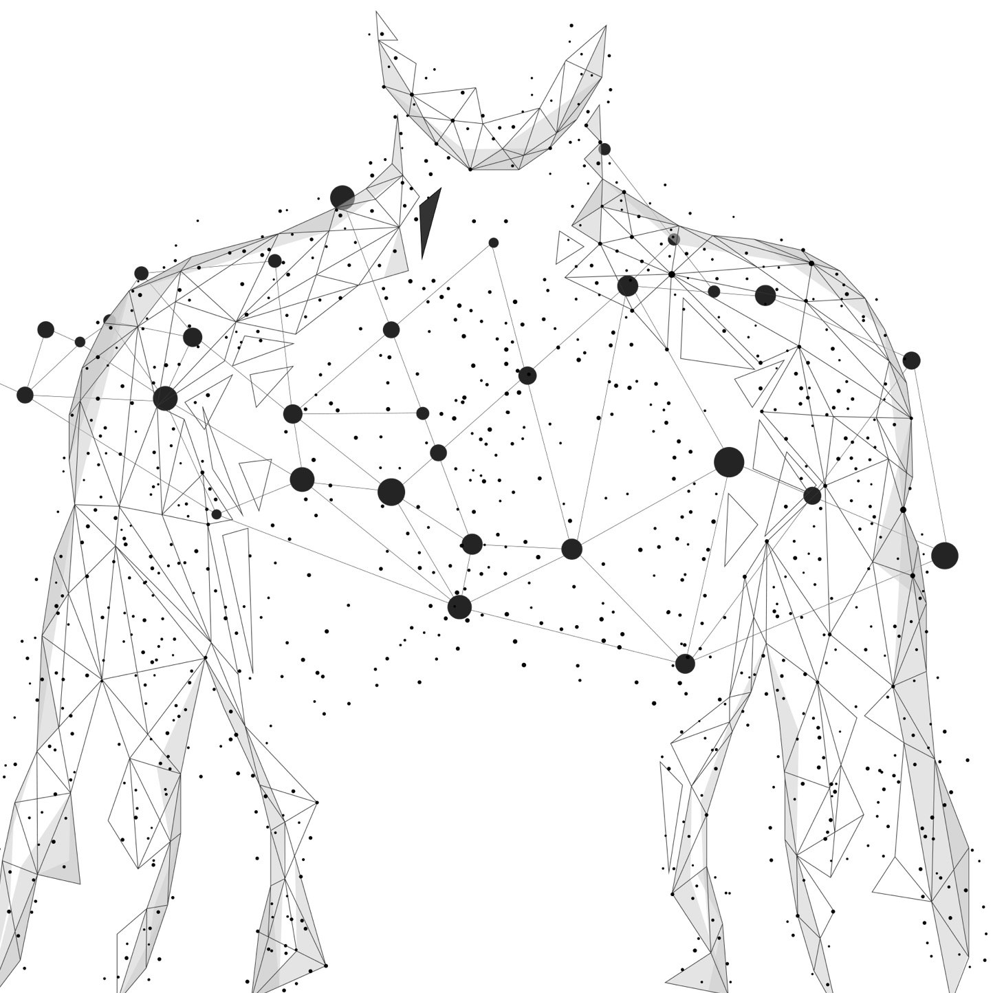 human AI drawn human torso path points